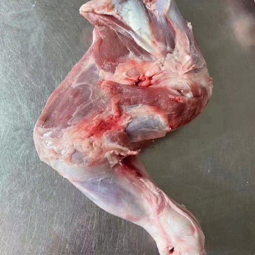 呼和浩特羔羊前腿