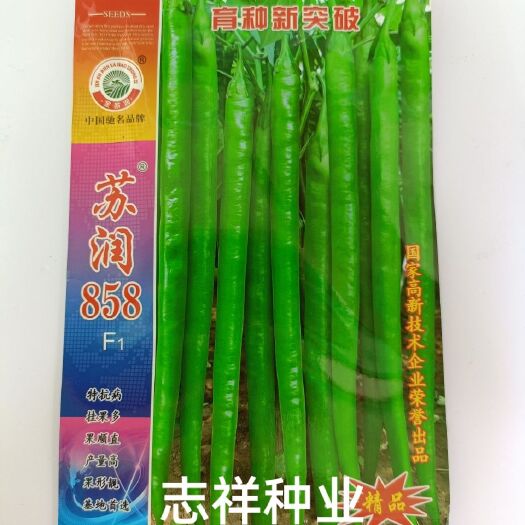 华容县苏润858长线椒条椒种子超长线椒蔬菜种籽 基地种植辣椒种孑