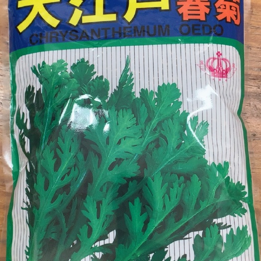 成都茼蒿种子大江户春菊