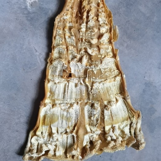 恭城县竹笋干 竹笋，清脆爽口 ，老少皆宜