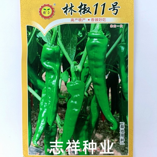 华容县江西新九鼎林椒11号尖椒种子早熟羊角椒辣椒种籽香辣果脆好吃