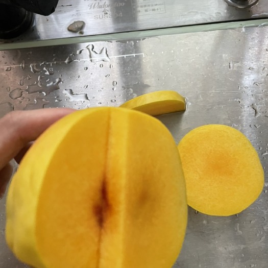 嘉善县嘉善有Ji黄桃，种植在一级水源保护区内
