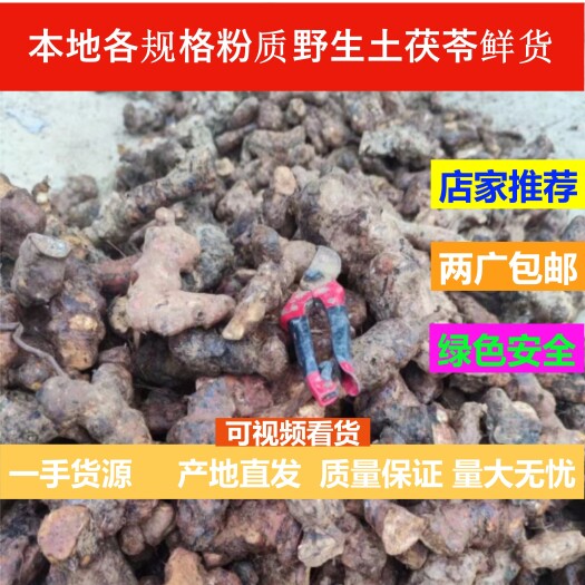 博罗县产地直销鲜货各规格土茯苓本地粉质土茯苓（中大小土）