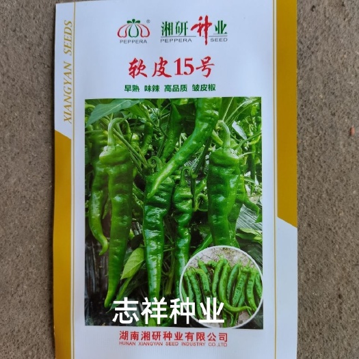 湘研種業(yè)軟皮15號(hào)辣椒籽種子 早熟微皺軟皮辣椒 味香辣皮薄
