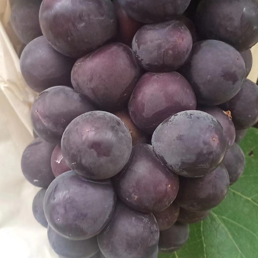 白水县陕西