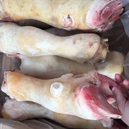 定襄县肥牛牛蹄