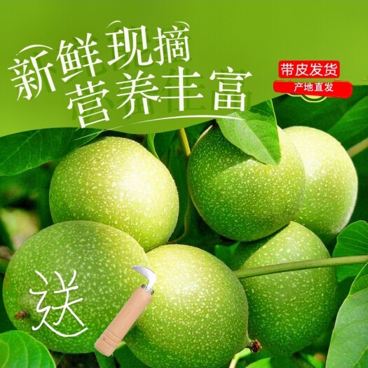 晋中新鲜青皮核桃湿核桃薄皮支持全国一件代发
