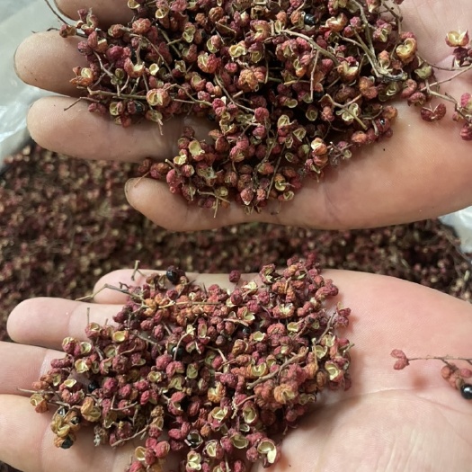 新绛县大红袍花椒红椒