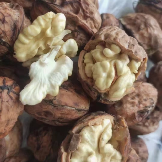 盐源县盐源老树核桃