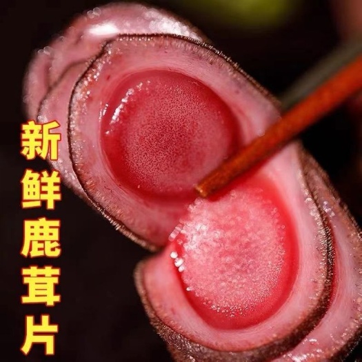 东北梅花鹿鲜鹿茸二杠茸三岔茸怪加酒保鲜发货包邮到家