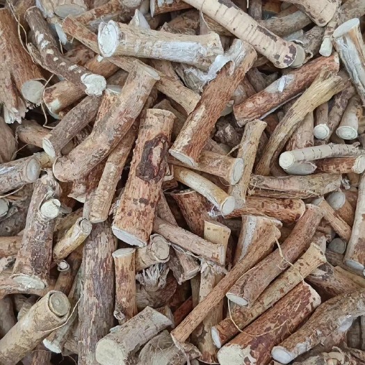 玉林五指毛桃，中药材，
