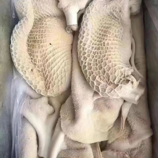 长沙牛肚半成品