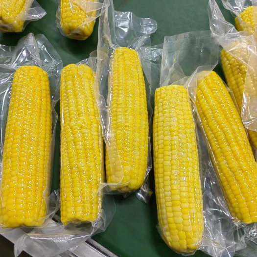 公主岭市鲜食玉米