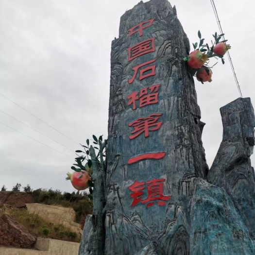 会理市会理突尼斯软籽石榴