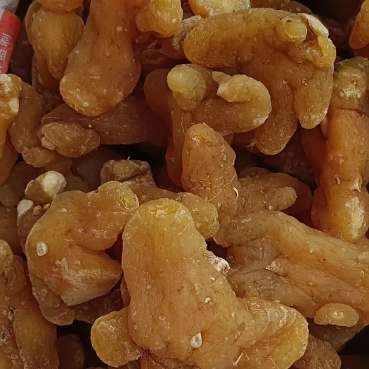 玉林鸡头黄精