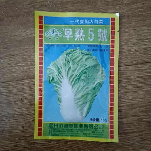 怀化神鹿早熟五号 小白菜 大白菜种子耐热耐湿外叶绿叶片厚而无毛