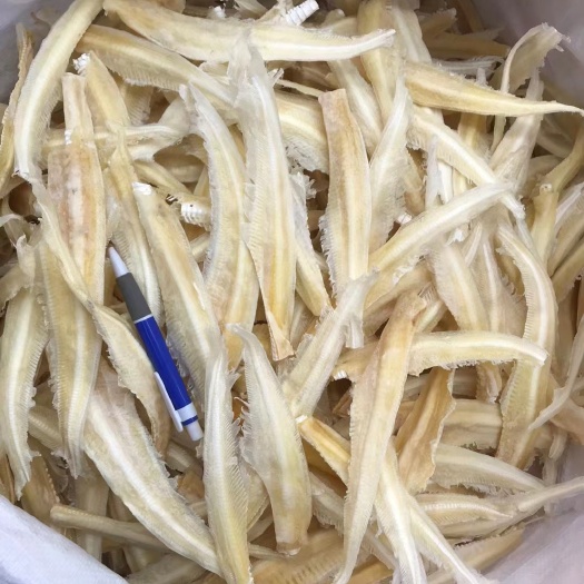 广州鱼翅批发凤尾翅足干煲酒店高汤食材