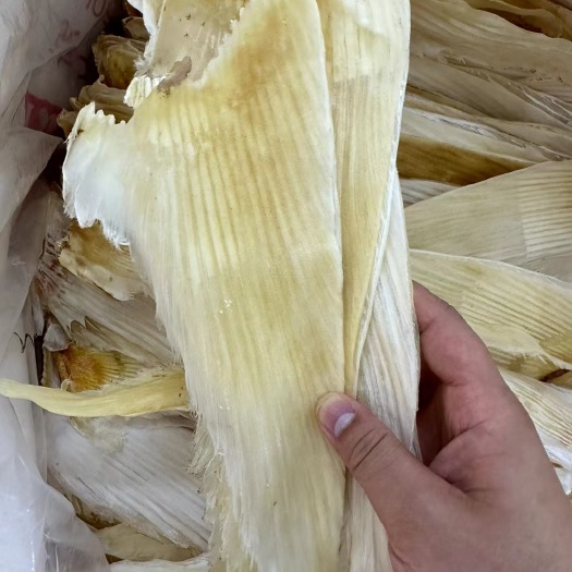 广州鱼翅批发牙拣翅干度好泡发翅针多酒店常用好货规格齐全询时价