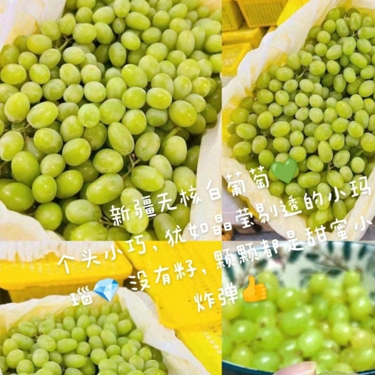 吐鲁番吐鲁番葡萄沟的无核白