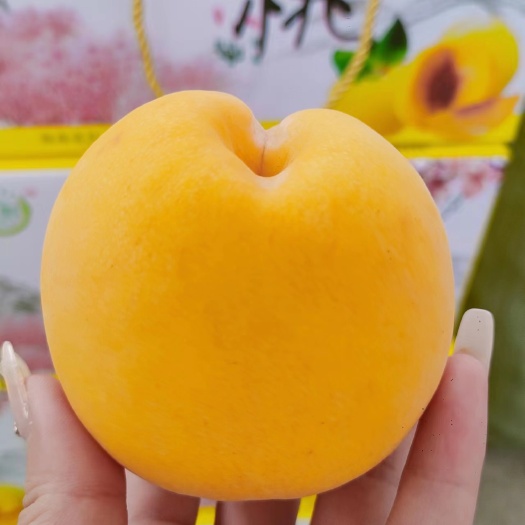 资兴市黄桃！果亮