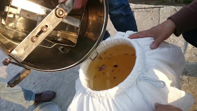 沂源县沂蒙人家土蜂蜜