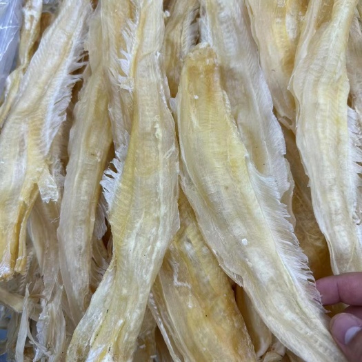 广州鱼翅批发无骨凤尾翅足干预制菜佛跳墙配料