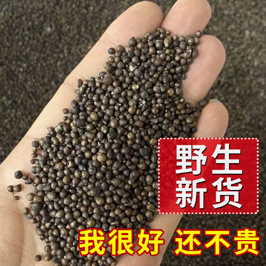莒县【一件代发】黄荆子布荆子产地一手货源欢迎工厂以及电商团购来单