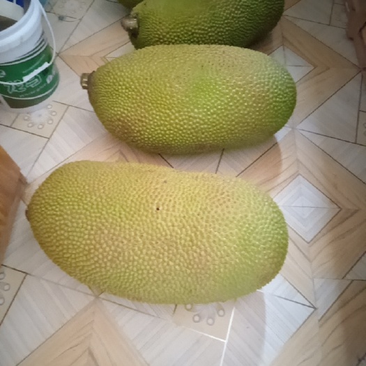 永州菠萝蜜