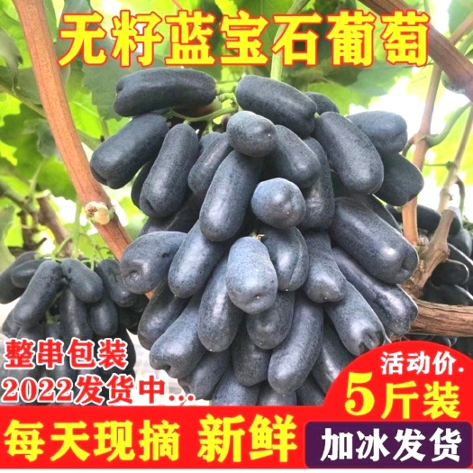 现摘甜蜜蓝宝石葡萄3/4/5斤新鲜金手指无籽黑提水果澳洲黑美