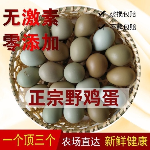 邯郸七彩山鸡蛋鸡蛋批发现捡现发