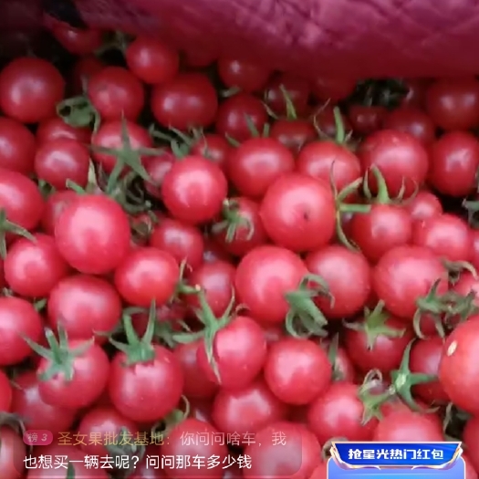 杭州口感小甜心圣女果