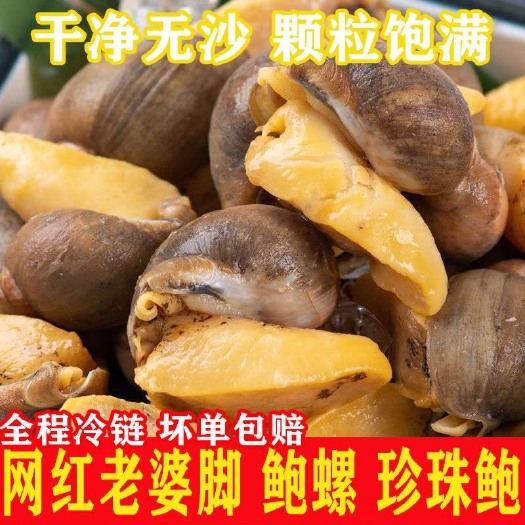 老婆脚香辣鲍螺肉即食捞汁小海鲜麻辣香螺鲍鱼螺熟食大海螺猫眼螺
