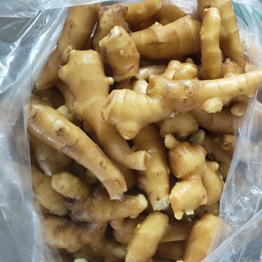 青州市生姜，姜，姜巴，姜母，红芽姜，大姜，黄姜，姜头，风干姜巴，