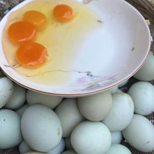 德阳跑山鸡绿壳土鸡蛋