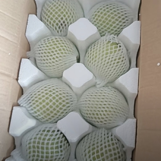 砀山县砀山梨