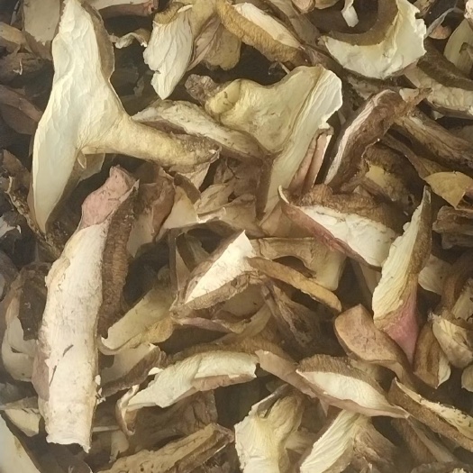 楚雄市黄牛肝菌，黄牛肝菌野生菌煲汤原料，野生菌源产地批发属于源头货