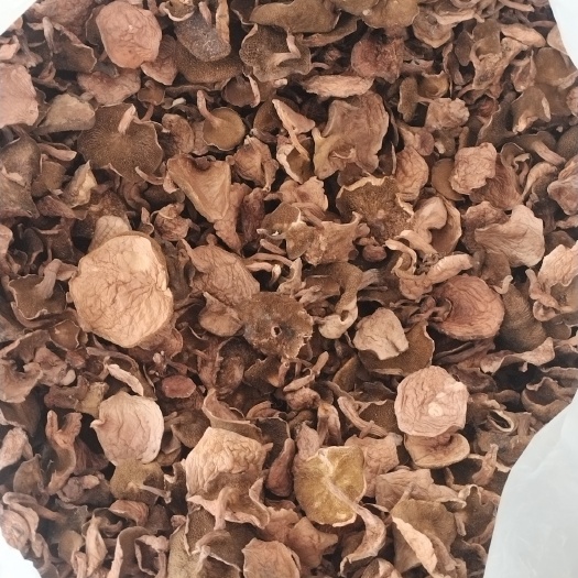 楚雄市红乳牛肝菌，野生菌源产地批发一首货源，挑选货产地直发