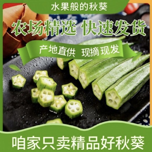 范县秋葵