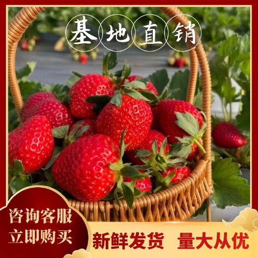 德昌县云南夏草莓  自家种植草莓价格美丽欢迎下单哦