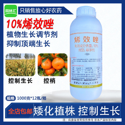剑牌剑丰园10%烯效唑悬浮剂柑橘树控梢控旺植物生长调节剂10