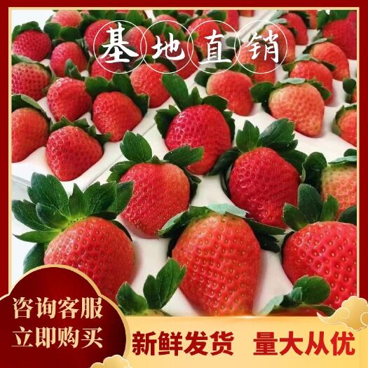 德昌县大凉山特色农产品冬草莓，基地一年四季供应，甜草莓
