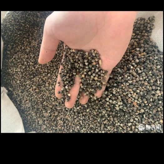 樟树市通货蔓荆子