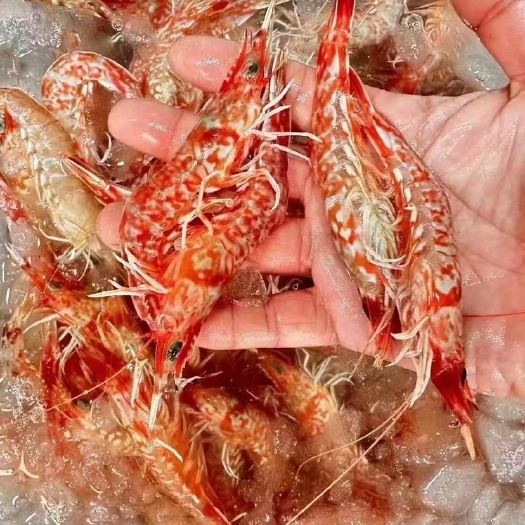 樱花虾，樱花虾，挑好沙线，又甜又脆 海虾