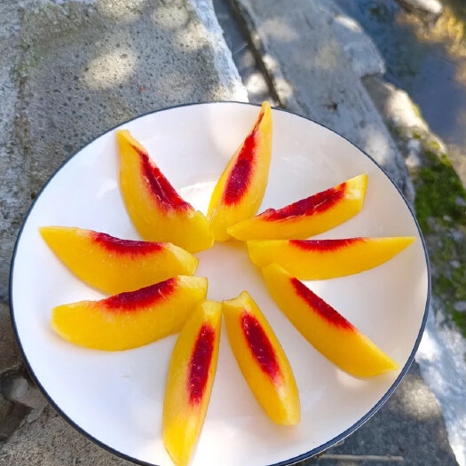 随县湖北随州黄桃（顺丰包邮）十万斤批发