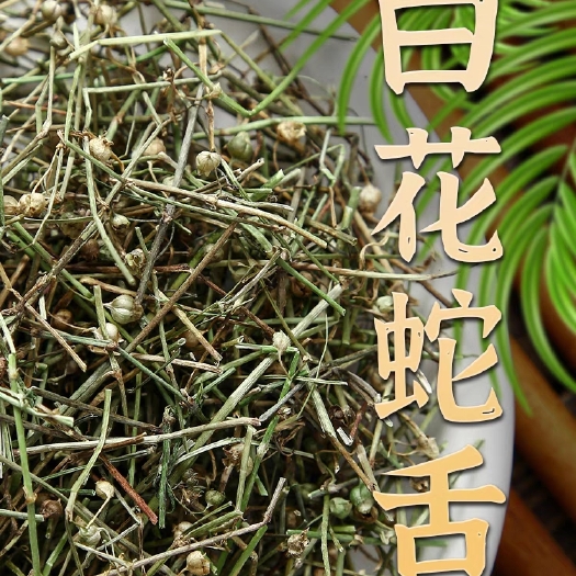 樟树市白花蛇舌草