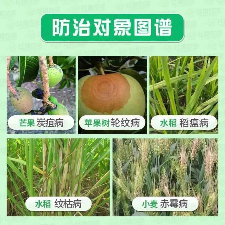 甲基硫菌靈 日曹甲托70%灰霉病炭疽病白粉病土壤花