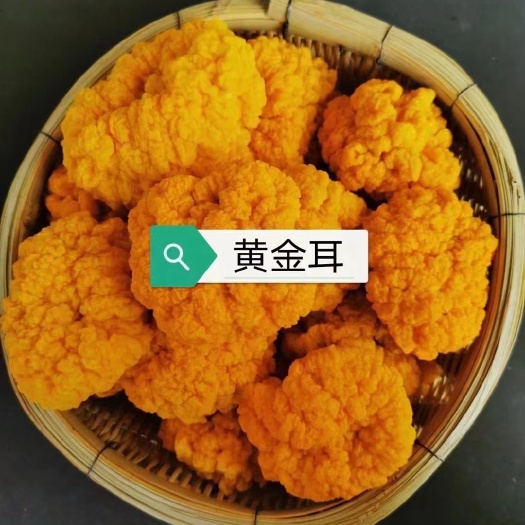 广州新鲜银耳金耳批发源头供货白云区直发食用菌蔬菜