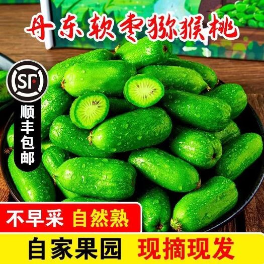 [顺丰包邮]丹东软枣猕猴桃3斤东北特产新鲜圆枣子奇异果