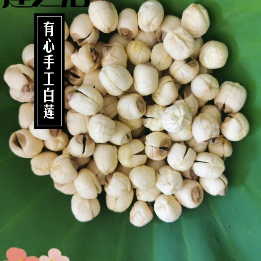 湘潭县白莲子 2024 年湘莲手工白莲有心无心两款，传统工艺制作