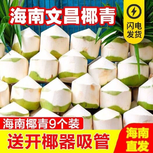 万宁市椰青  海南椰青新鲜椰子水果孕妇应季文昌热带特产现摘